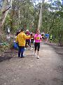 1a bush trail 087